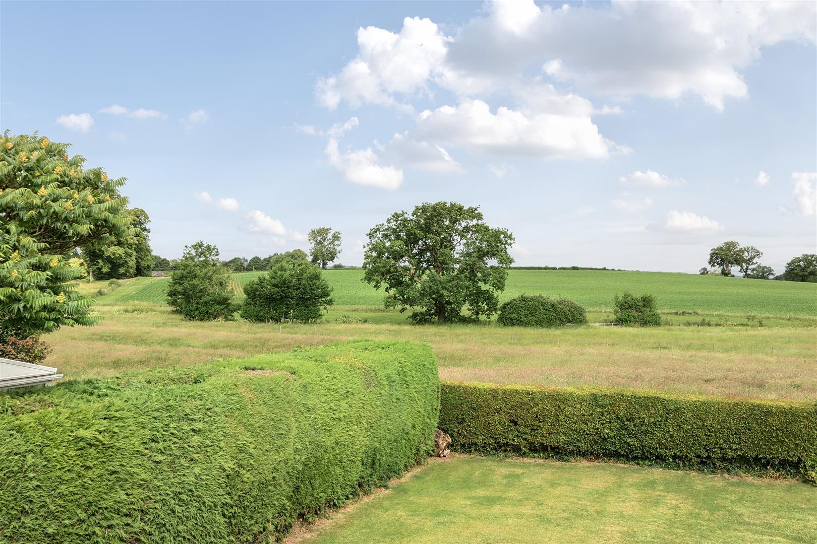 Property Image da9505f7-d4c5-4df4-8526-1f2dadee8bbc