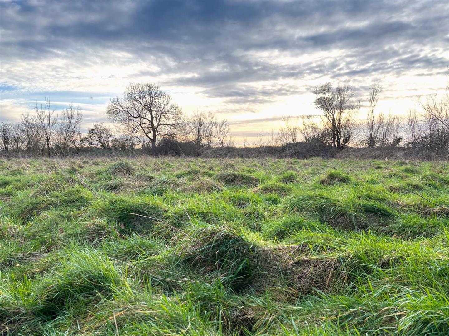 Property Image da9b1e3d-0720-48bd-90a4-fa4877c82d0f