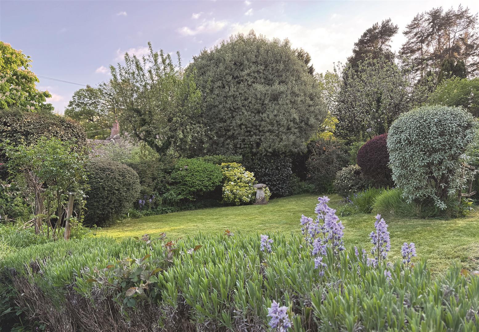 Property Image dab974c0-7b4b-49bd-815d-ca3c436bdb1a