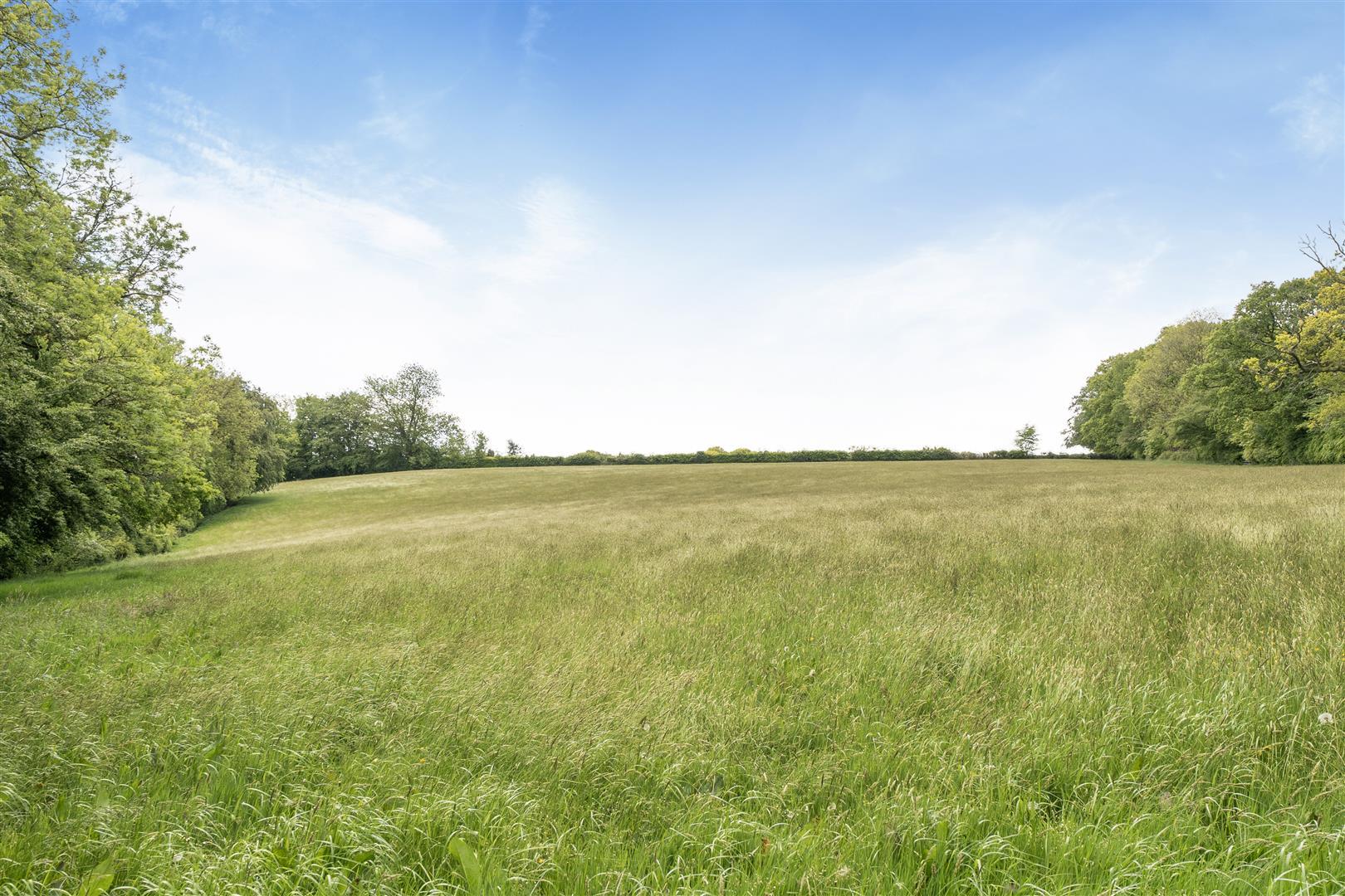 Property Image dac8c4e2-9a9b-41a2-aa53-ec52ab8d9195