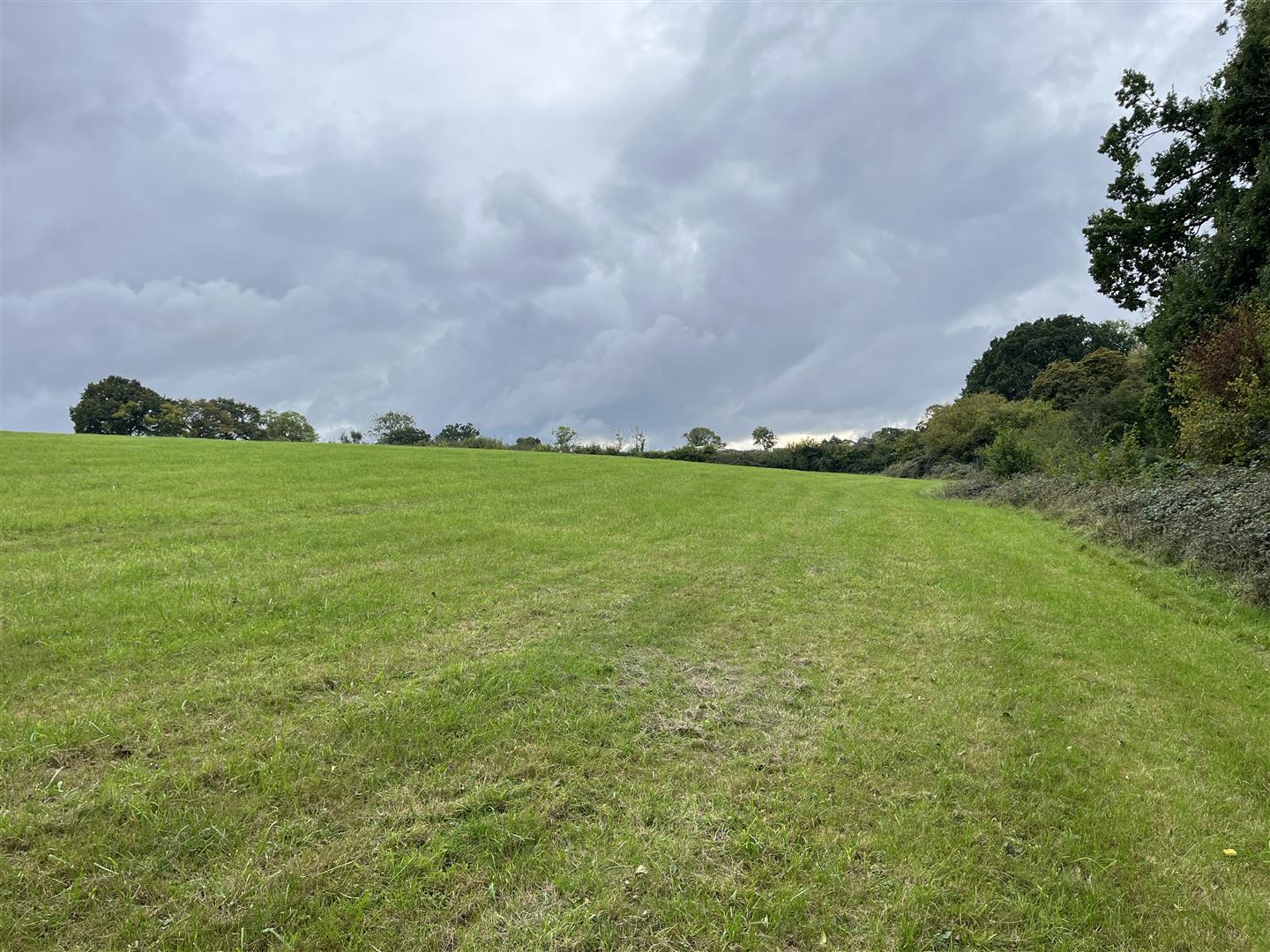 Property Image db1f95dd-fdb2-4c7f-a4cf-63f0a0513699