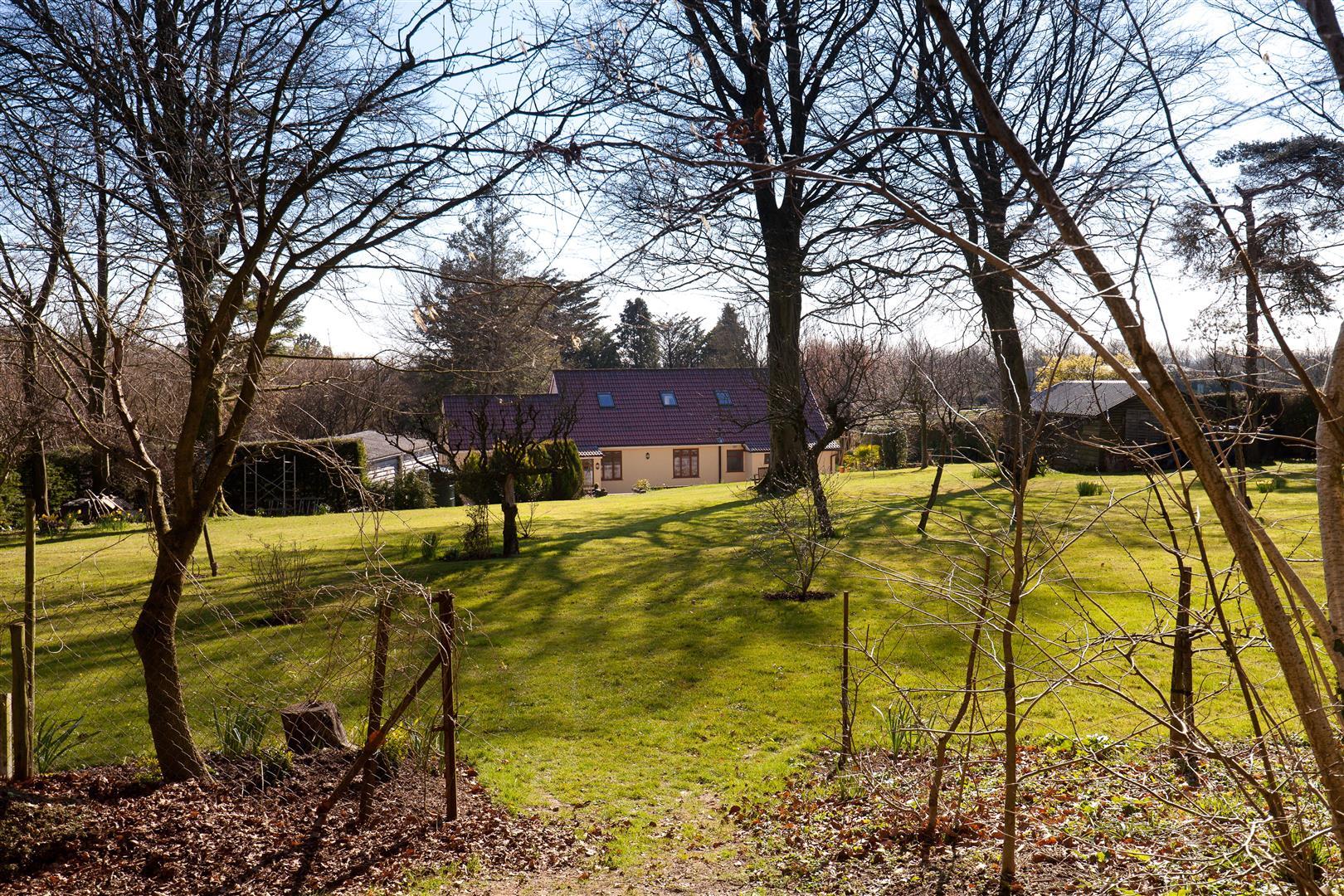 Property Image db27bbb9-1651-47aa-93f0-2594096c3c9e