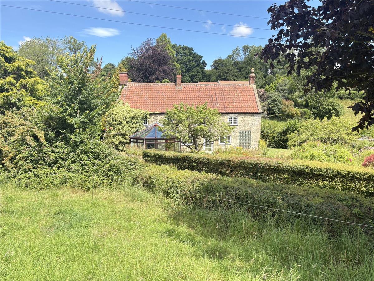 Image 24