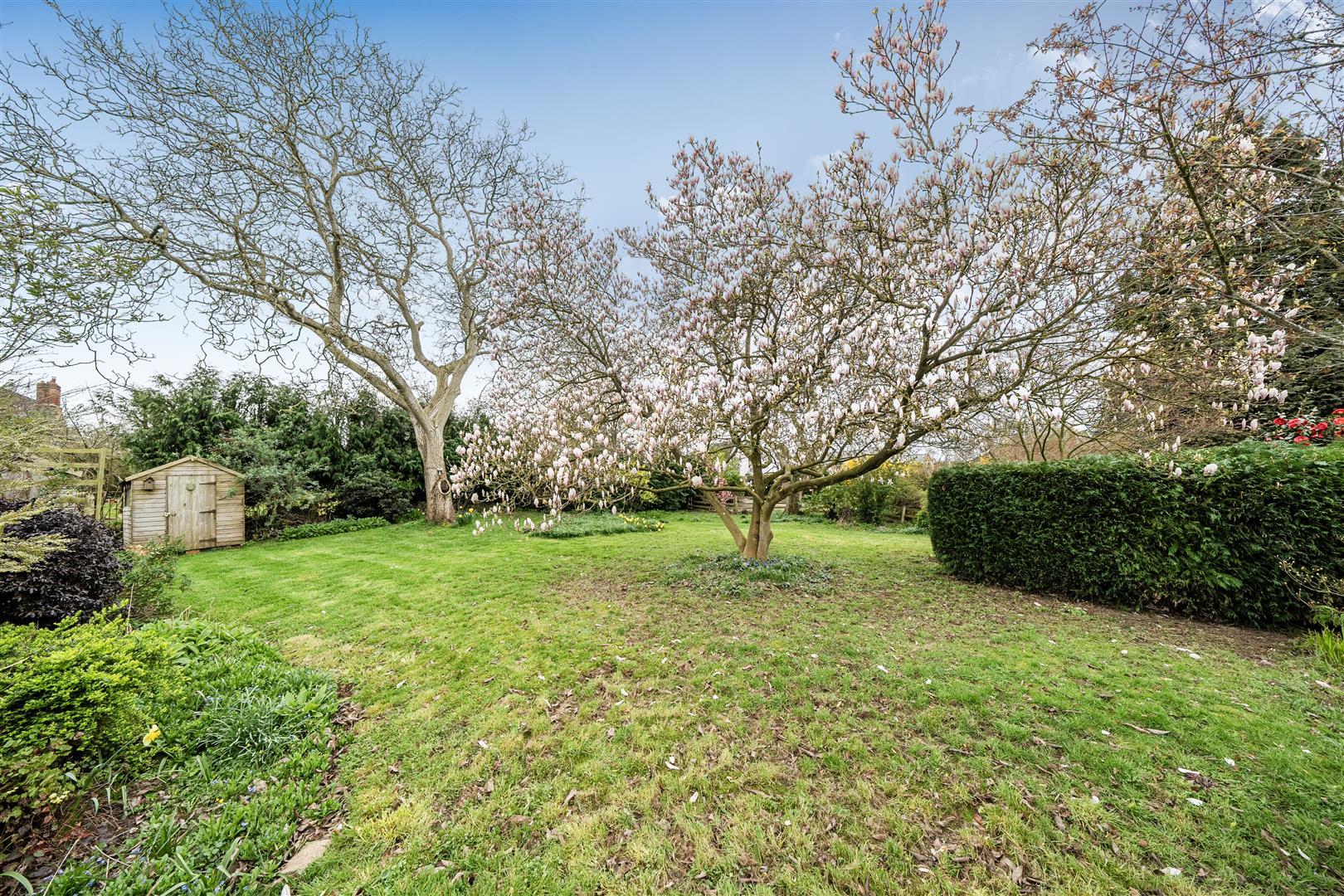 Property Image db41a634-ecbd-4289-906e-cd205c447280