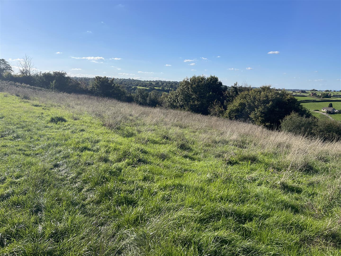 Property Image dba7be2f-b111-42d4-9ba8-66310db4a010
