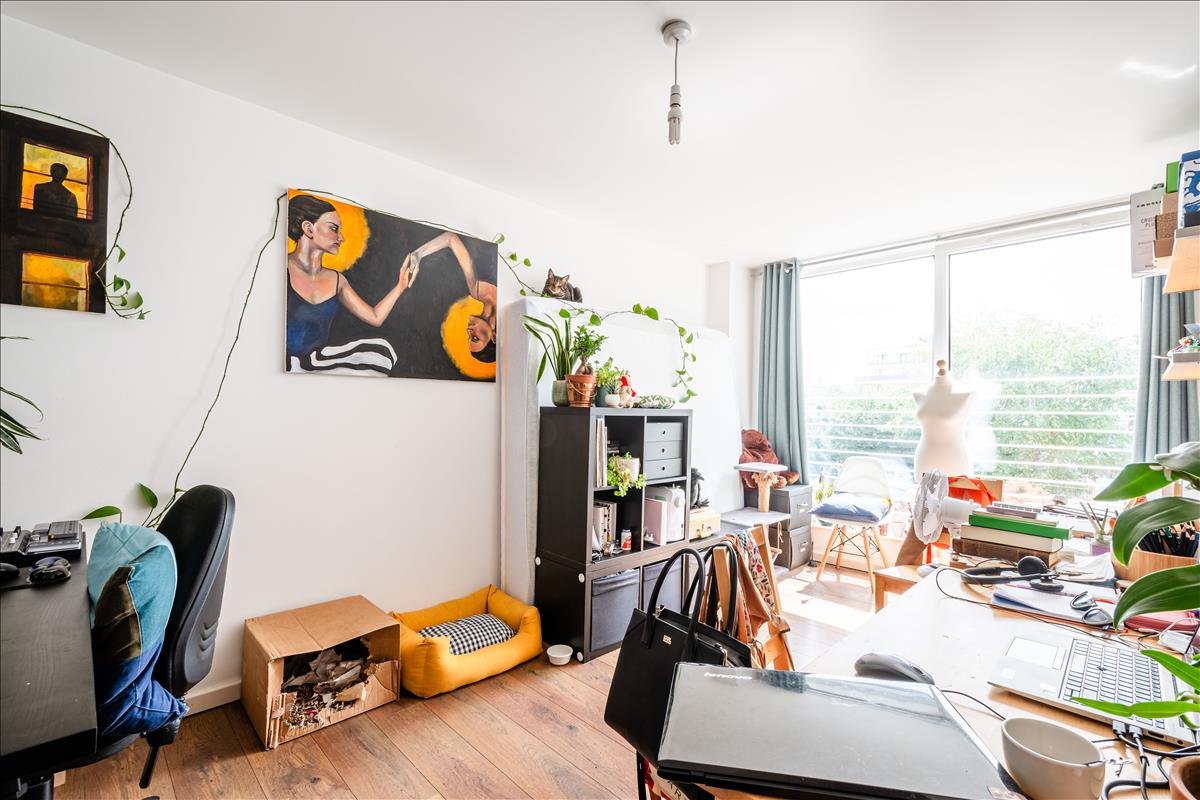 Property Image dbaa1251-1dec-4865-aaf1-01f8bed15630