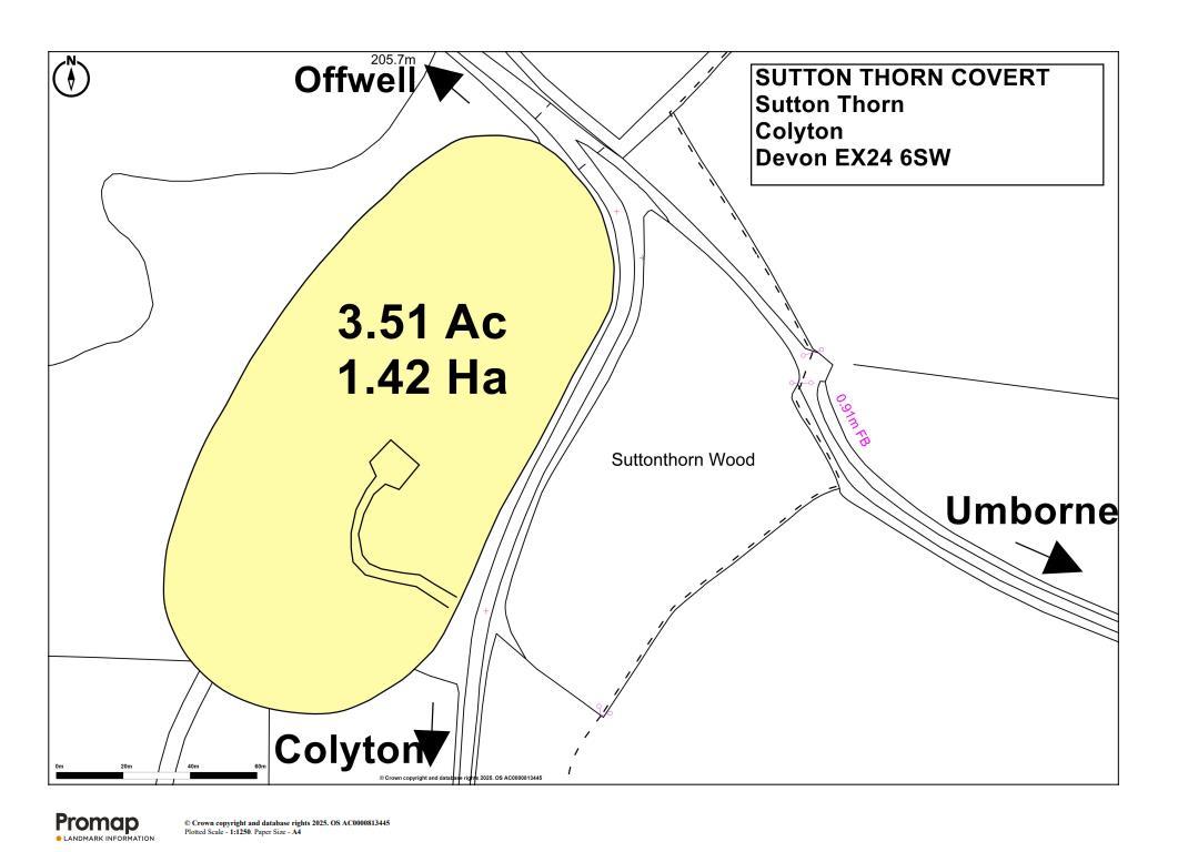 Property Image dbc45ffa-5785-4bc9-b9a9-db747e4ef7ff