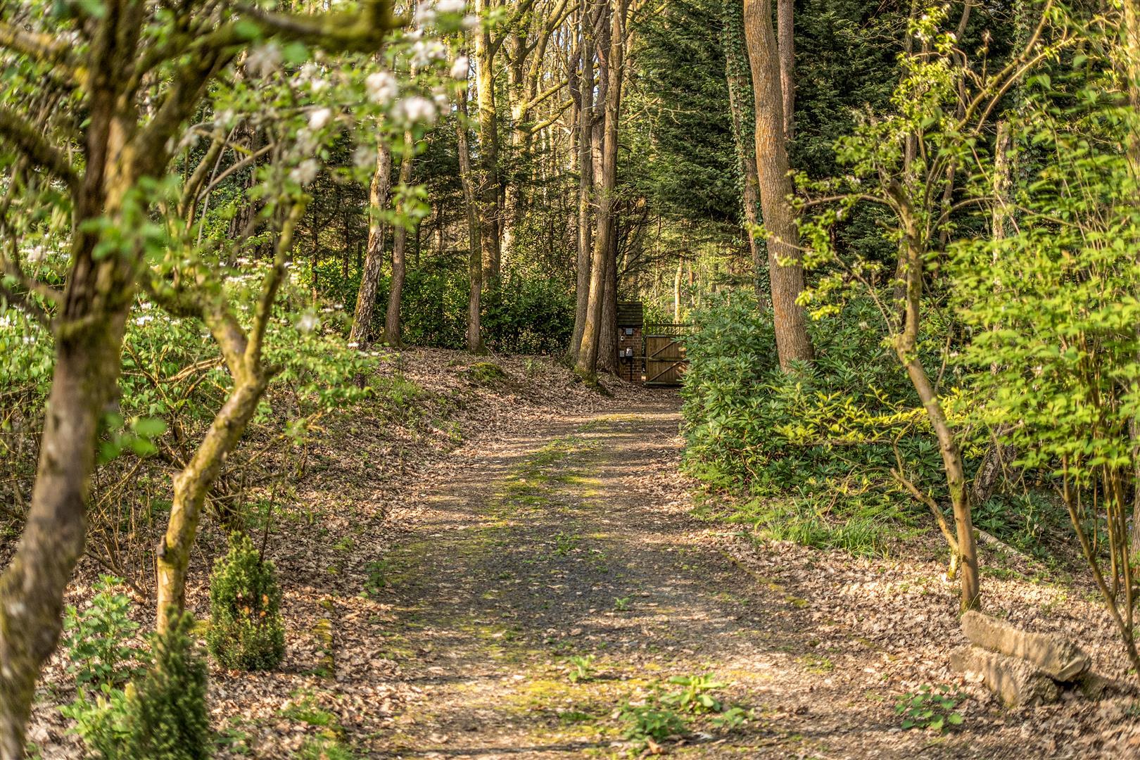 Property Image dbd420e5-64bc-4833-b4e7-c652b69bbafe