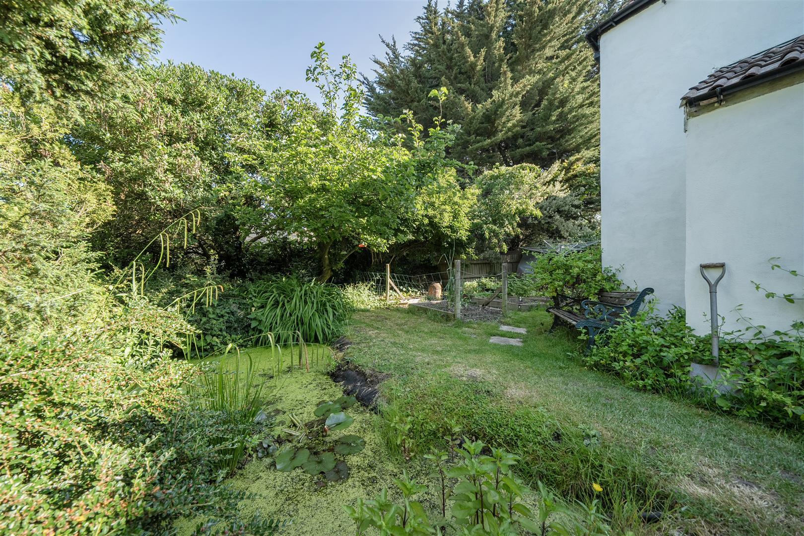 Property Image dbe8fbe8-b23a-440c-a803-ed8200b62644