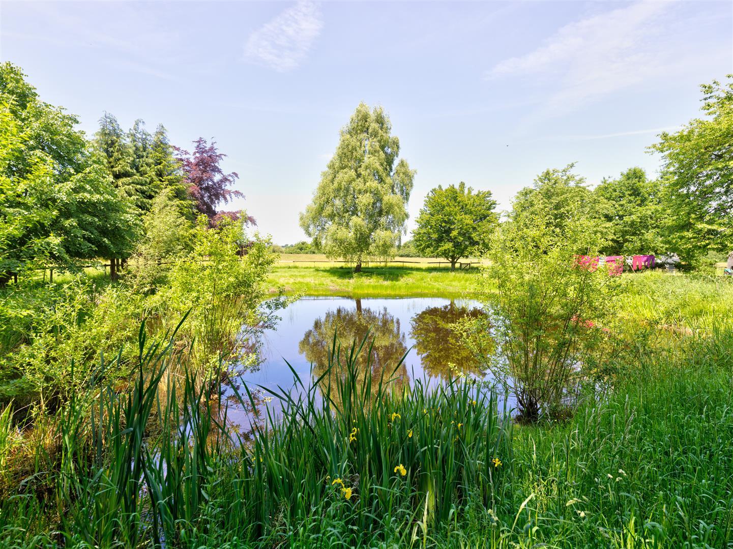 Property Image dbe9d924-4a85-48a5-a2b3-dd1076a11f4c