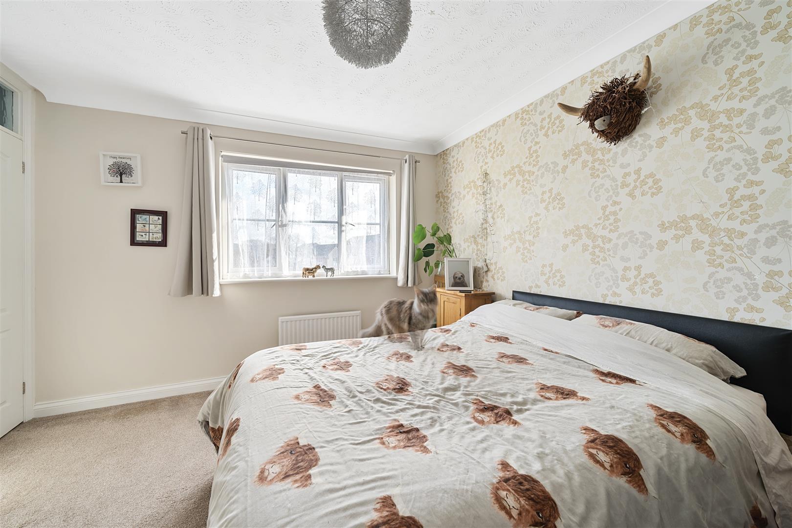 Property Image dc06a466-bfdf-448b-b3f9-c833569c8669