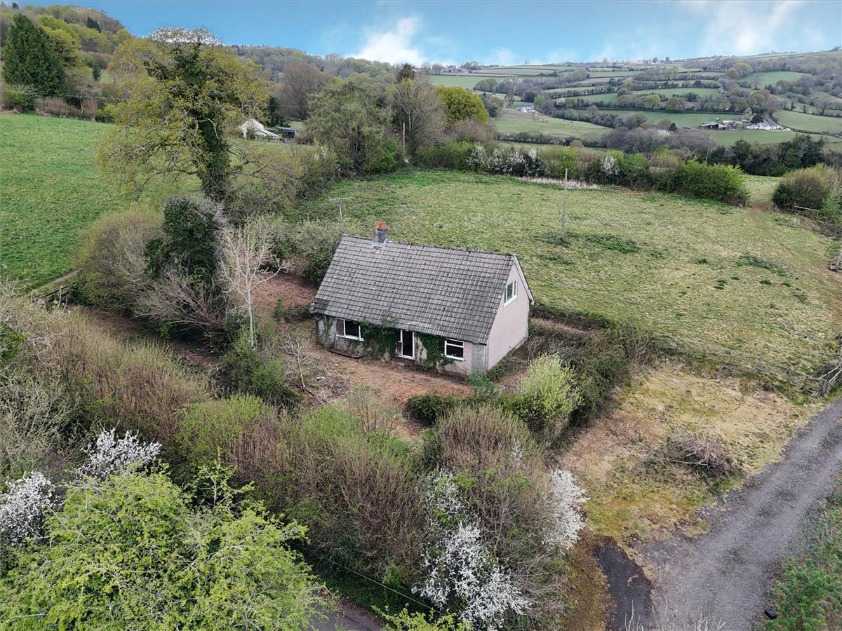Property Image dc0ac552-e549-4ac9-8a9c-f9cd3ccfbae8