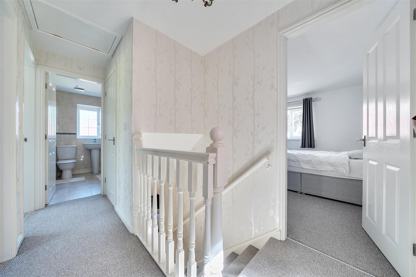 Property Image dc81d545-55d5-4ebc-9c21-fff4b92e82db