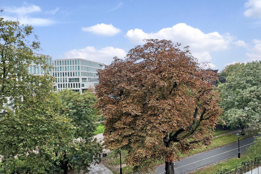 Property Image dc85af04-49f2-4d7d-b627-be608c2ddd83