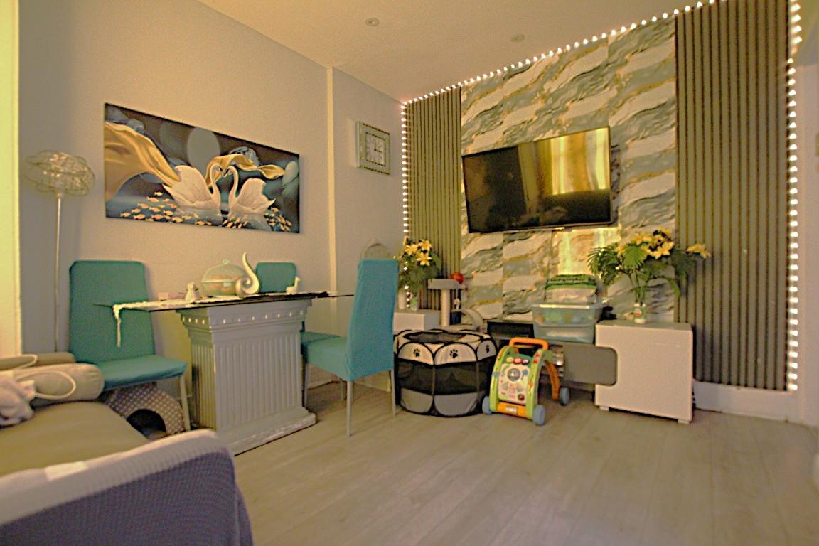 Property Image dc887055-3658-405a-9a62-571fef0cb2aa