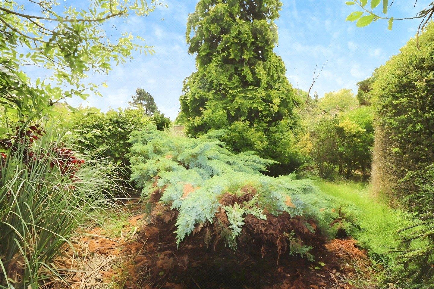 Property Image dcca9998-f867-4f65-87ae-9752e5d7b967