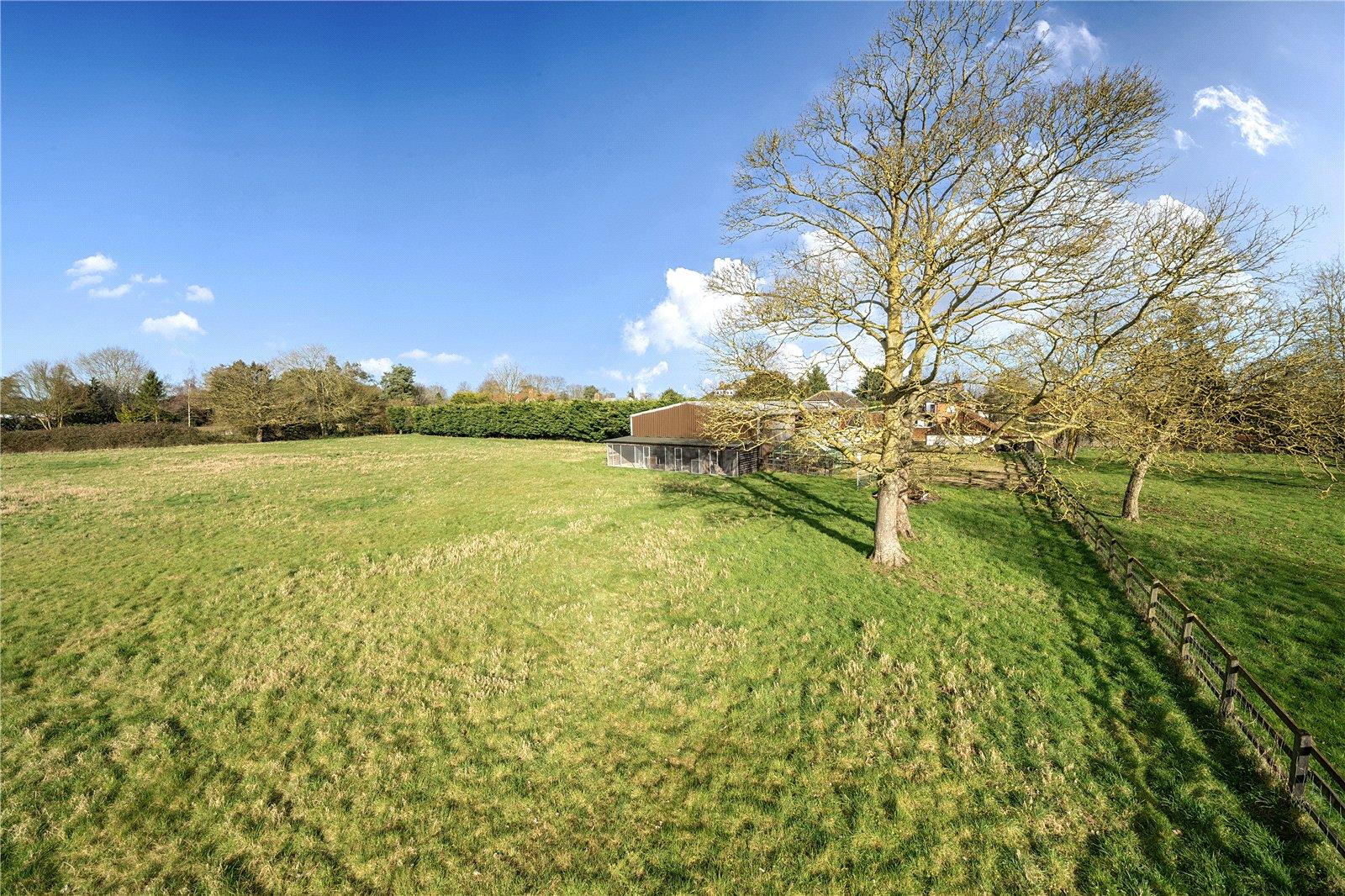 Image 22
