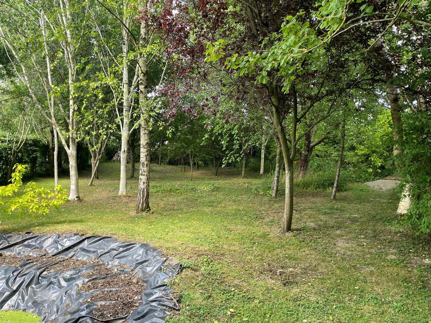 Image 30
