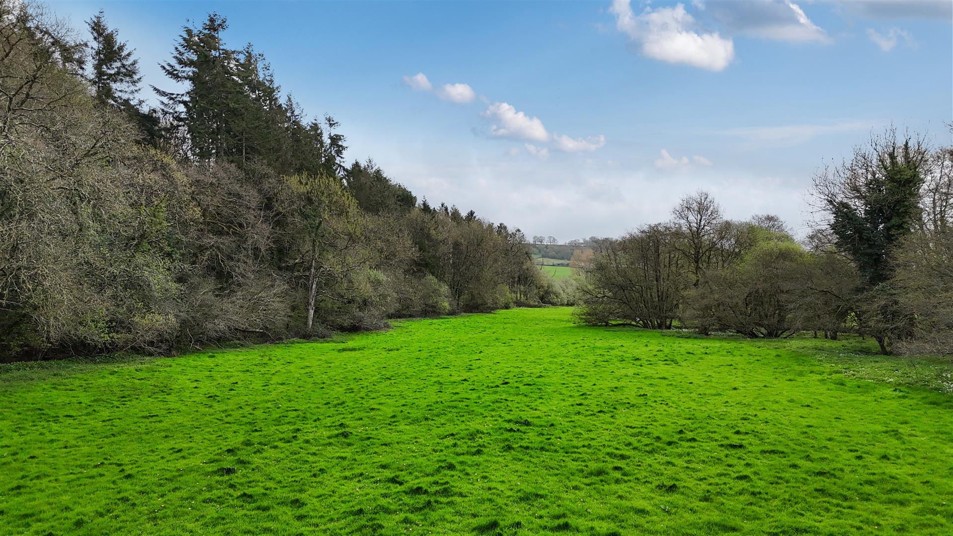 Property Image dccf6798-c938-4f6c-86ff-72e0686053eb