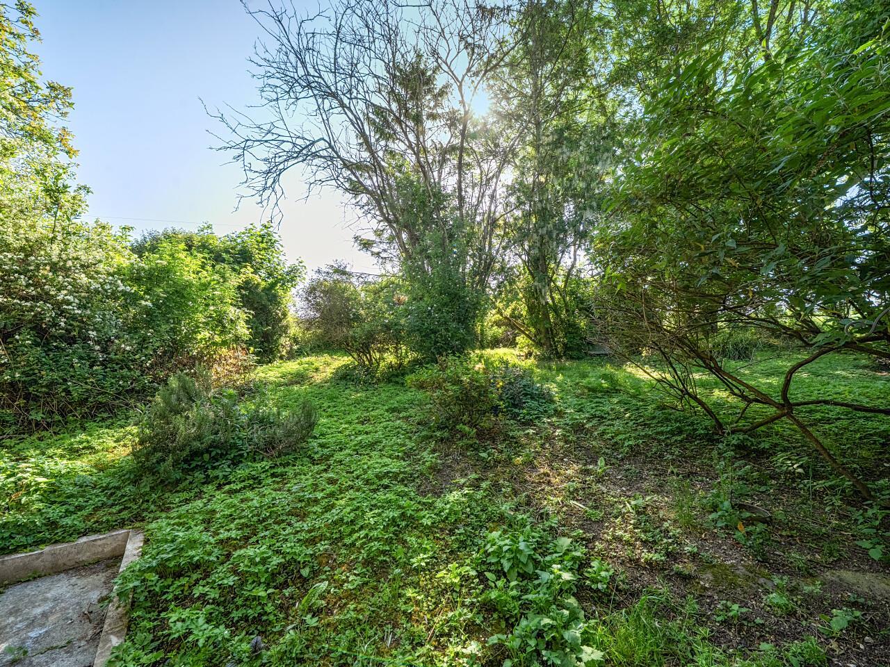 Property Image dcd90657-d3f8-43e2-912b-d0d84a775843