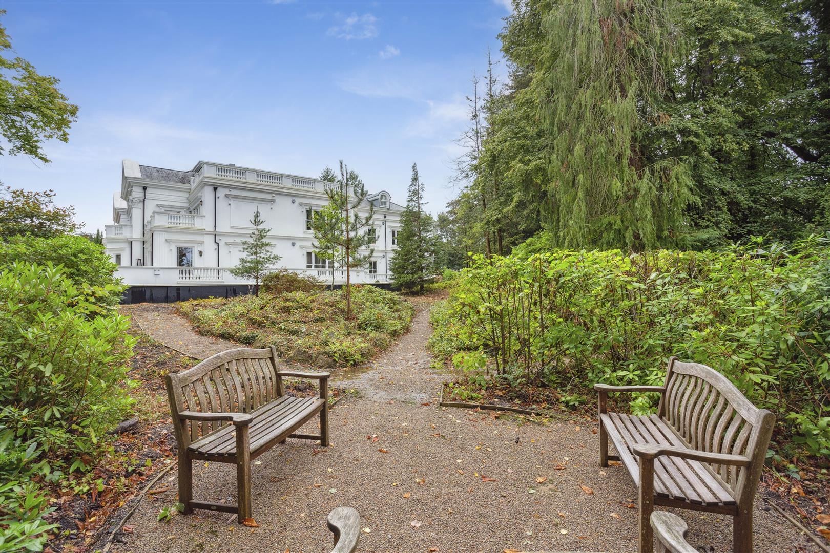 Property Image dce3bedf-5443-4ae5-8d9d-836e7c28c9ef