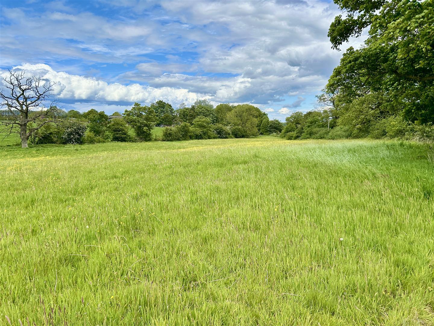 Property Image dd7e8630-0a54-4790-8120-dbc8d0694522