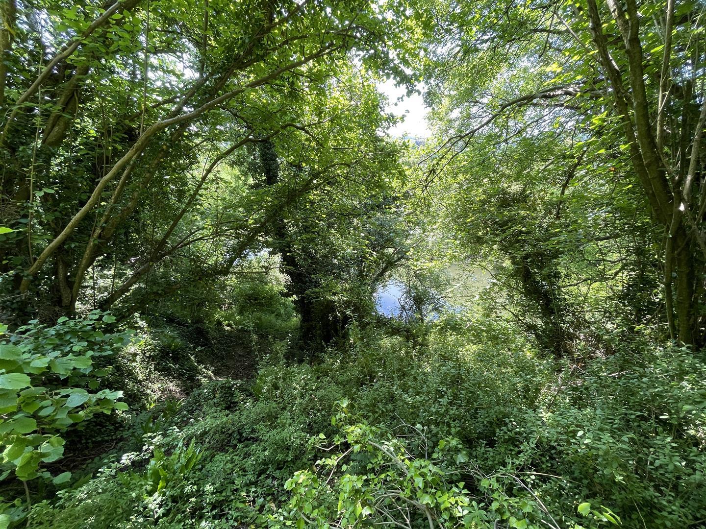 Property Image dd85421a-7998-4d58-8fa8-38010e900dce