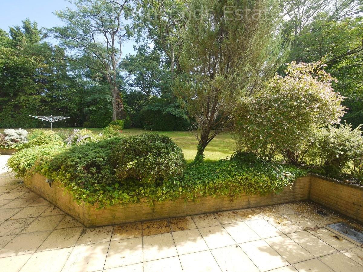 Property Image ddac3e7d-3f54-4ada-876c-142b2b92e9c3