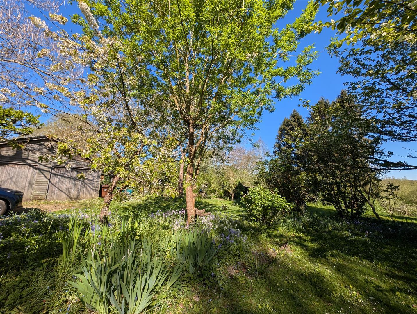 Property Image ddd05dc9-3353-4c1a-83ca-3db35bb9ed3a