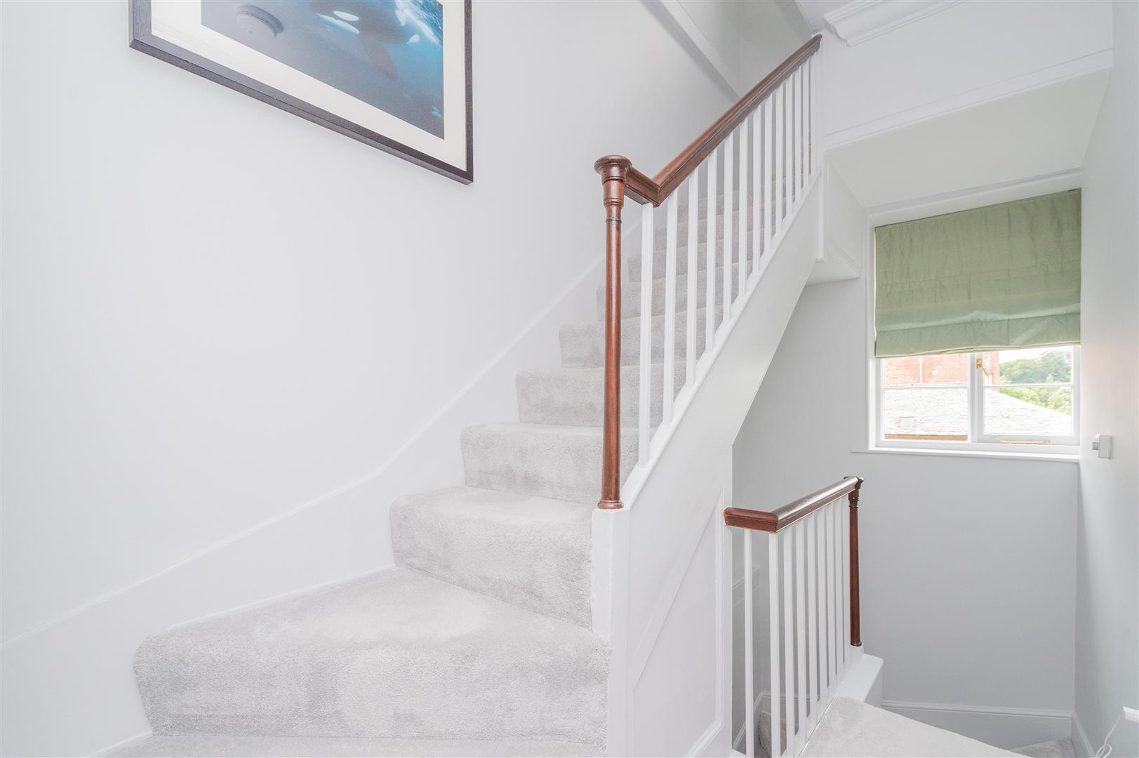 Property Image ddf37662-dd7b-48ca-bffd-4348bf29567a