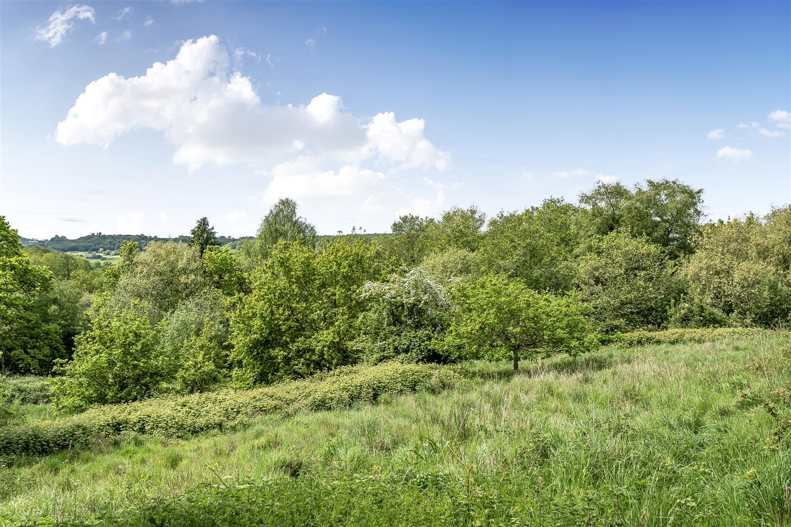 Property Image de4d8653-0851-4c58-869c-a9b8d56608d6