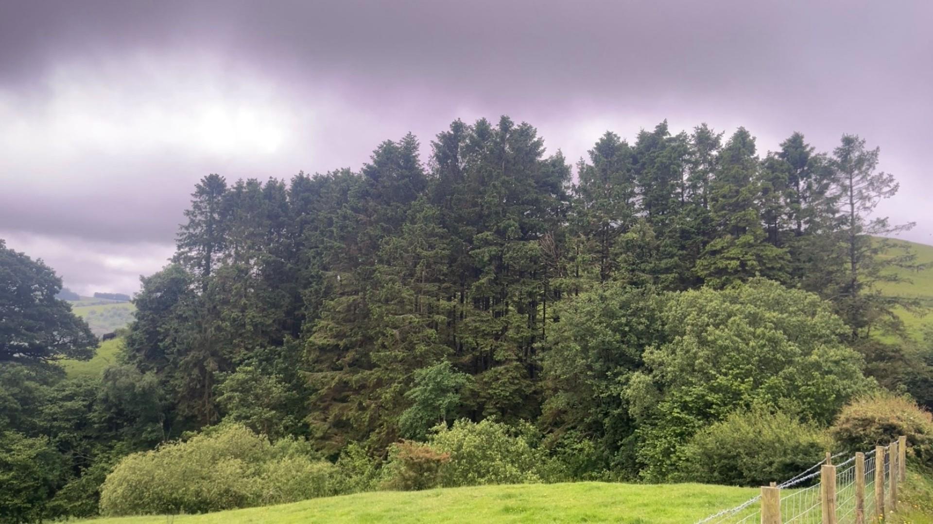 Image 12