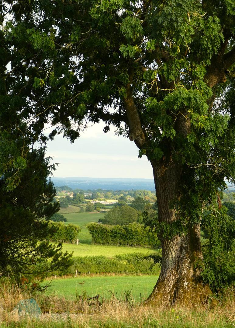 Property Image de99ecf4-aa6e-4f25-a1f2-a67610b4f1f8