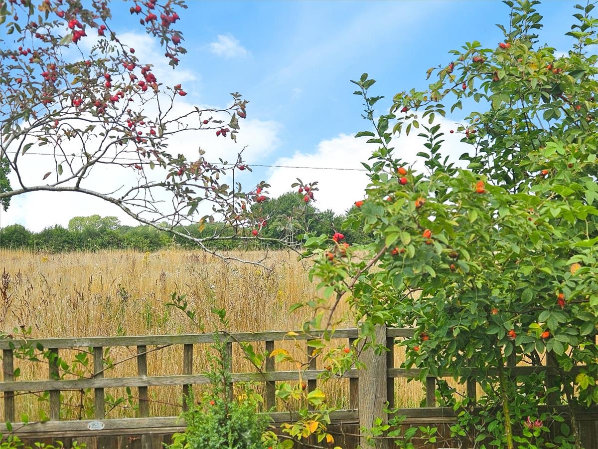 Property Image debba58d-3b37-4bd5-a67f-bfaf1d0c13b9