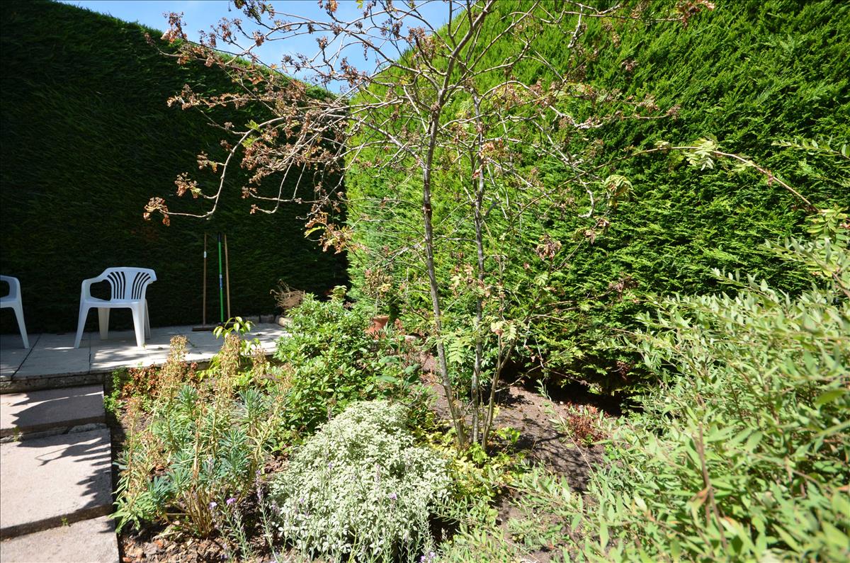 Property Image dece2e01-1fc8-45c4-b8d0-690f7d061f9d