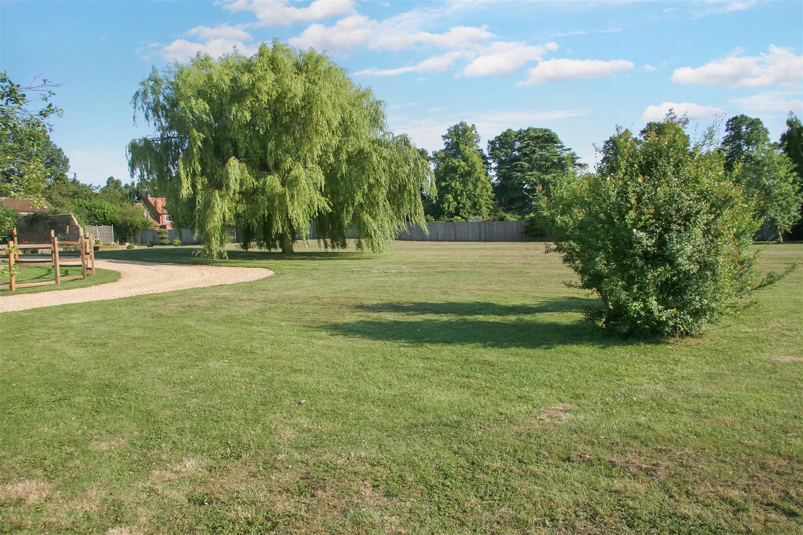 Image 21