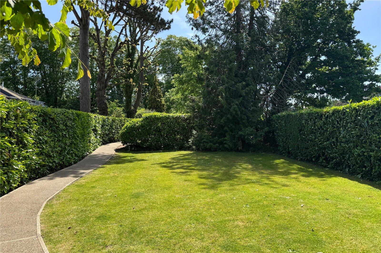 Image 18