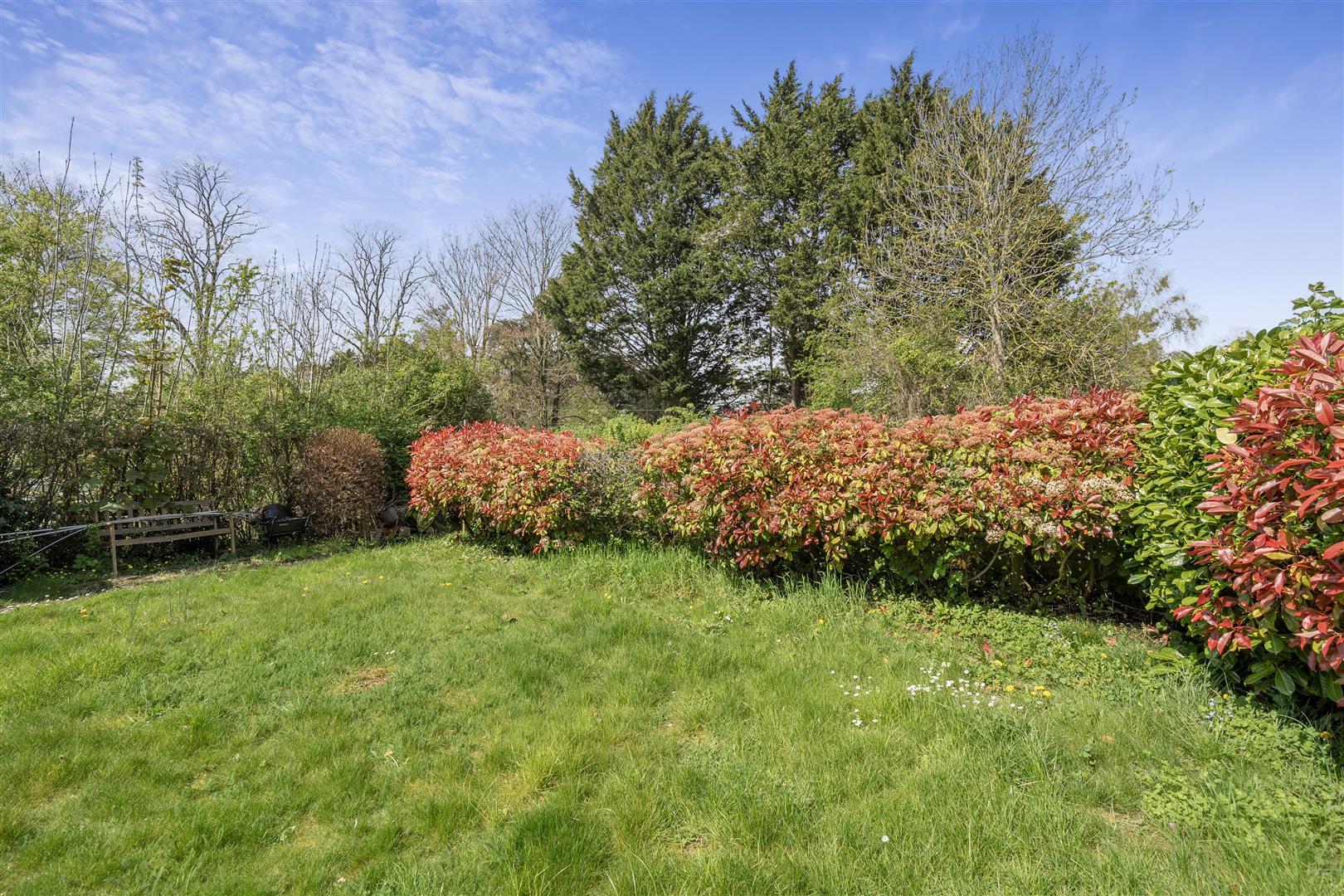 Property Image defee7c5-cf83-446b-b6a7-d09842b5ba5f