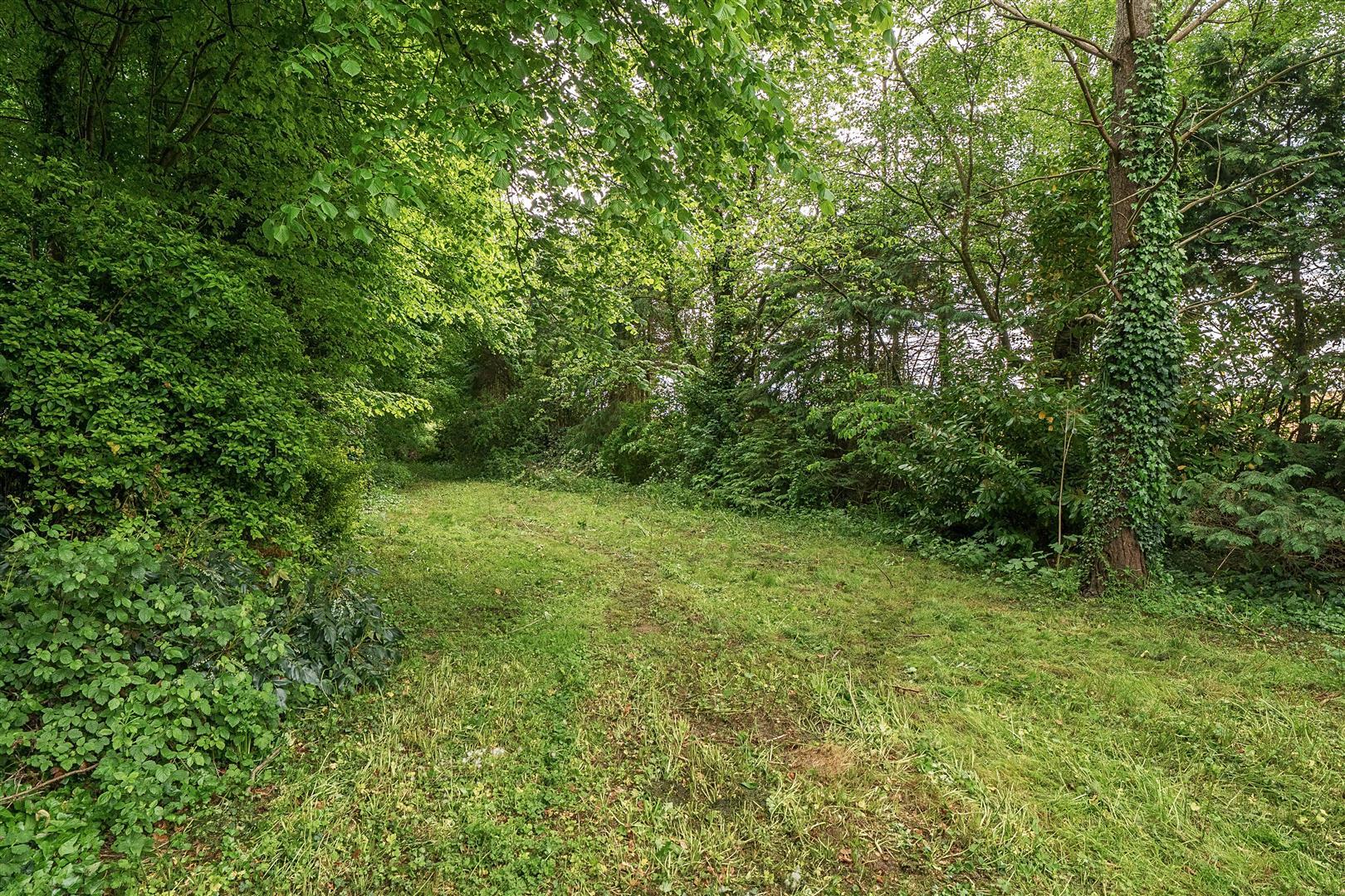 Property Image df04d488-f7d1-4f53-9ff5-4d193de4e22c