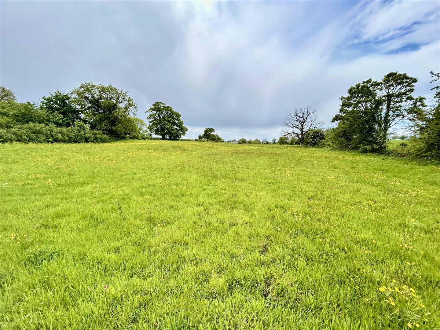 Property Image df2e77cc-1585-45ea-90da-9f625b73ffde