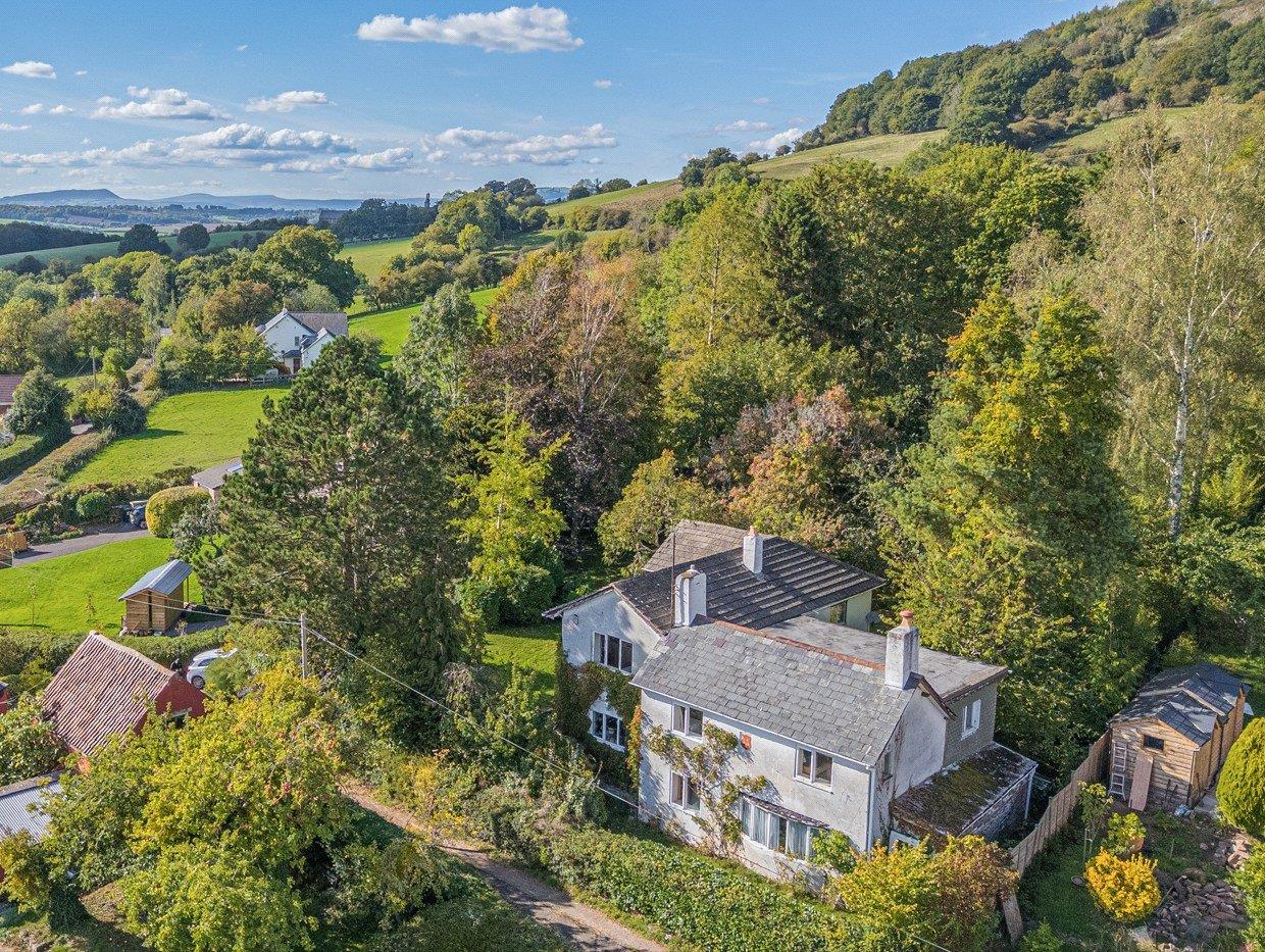 Property Image df5ddacc-e7d2-472d-bd54-3acbc86dc074