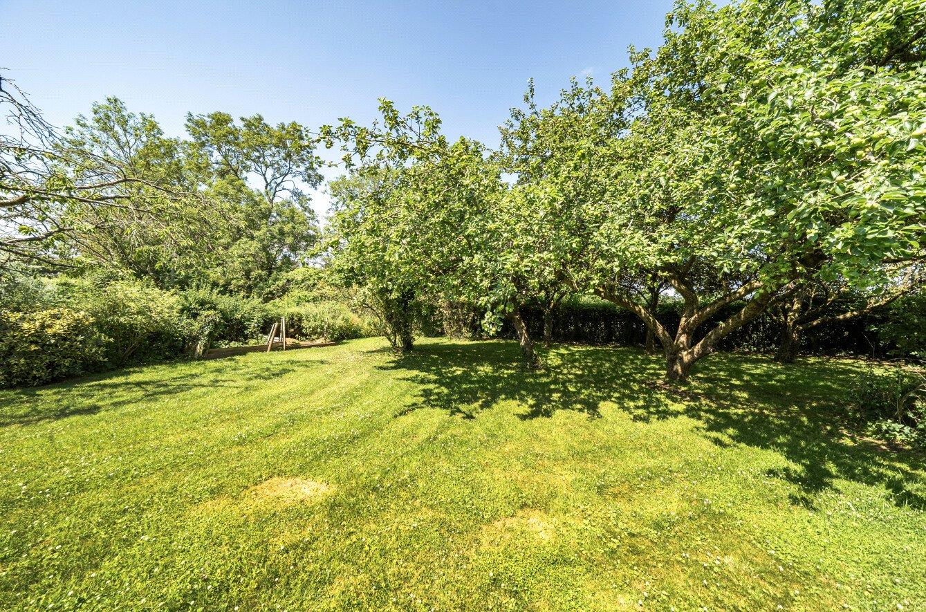Property Image dfce9488-1090-48b9-a8e5-20b5132b3417