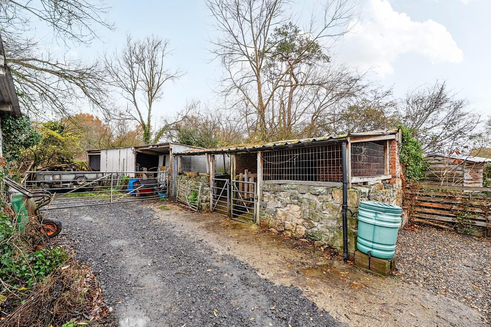 Property Image dfd9a4f4-ea24-467c-8cb8-71a11588ad15