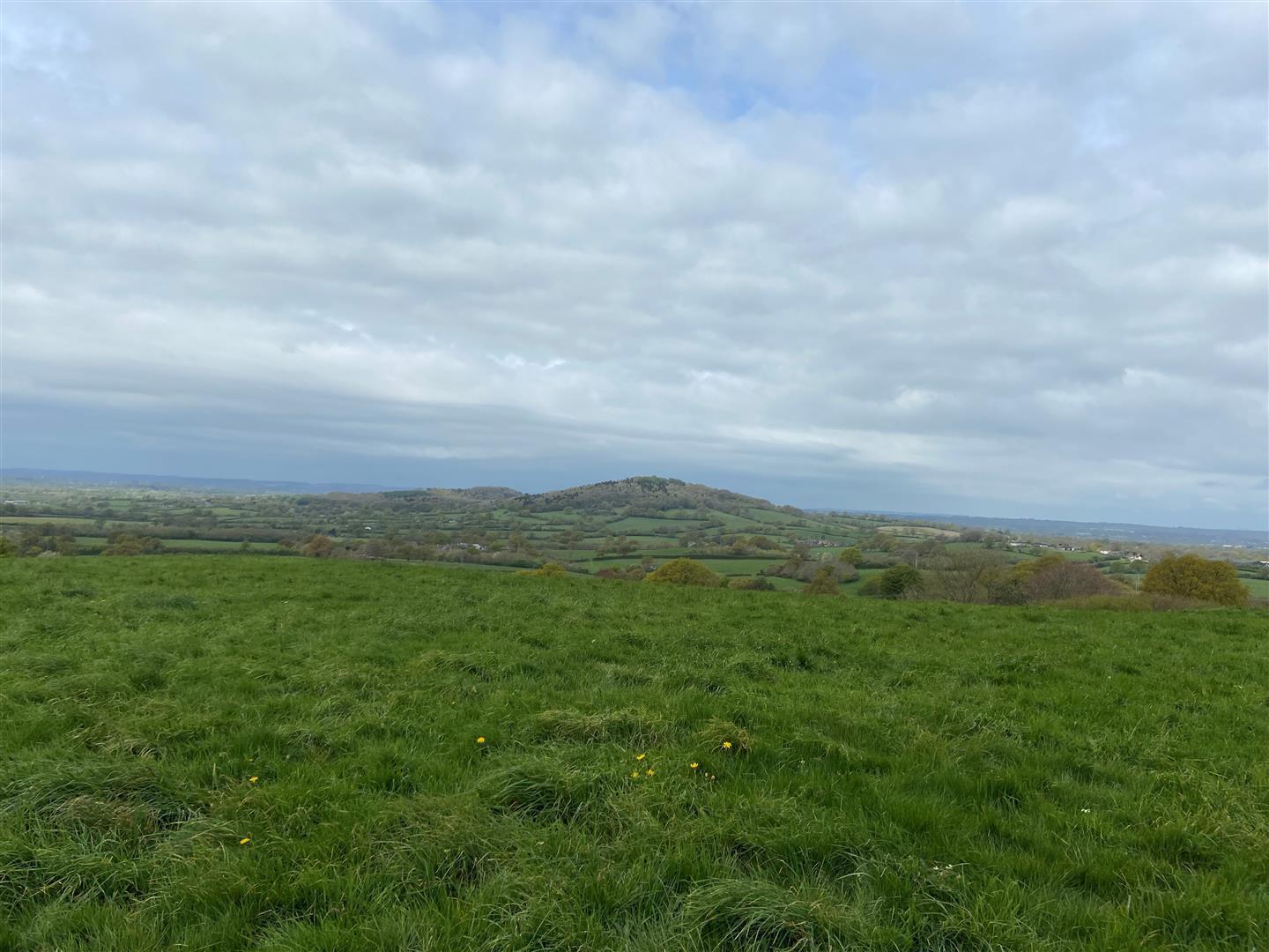 Property Image dfebf7a7-f52e-4ea7-a288-4c344ce0f767