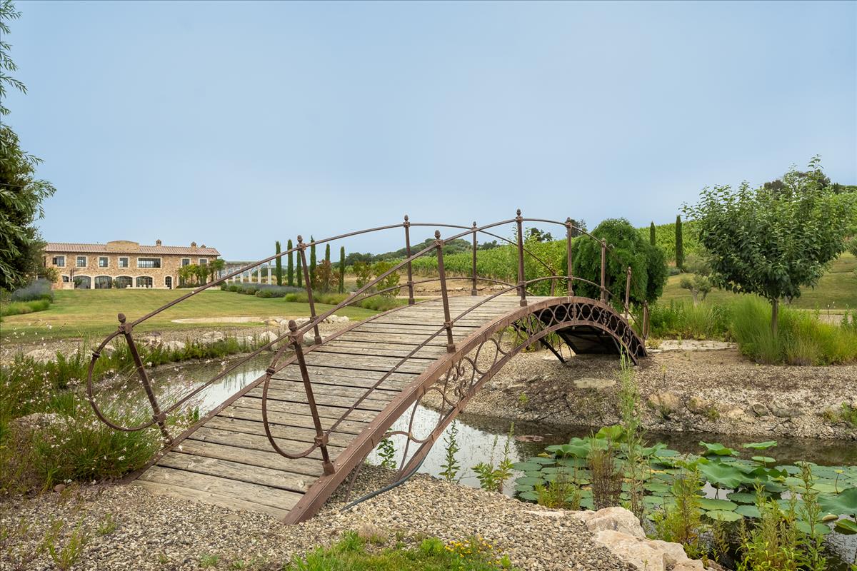 Property Image e004a5d8-6fe4-40c7-a929-73ab14ac3a1e