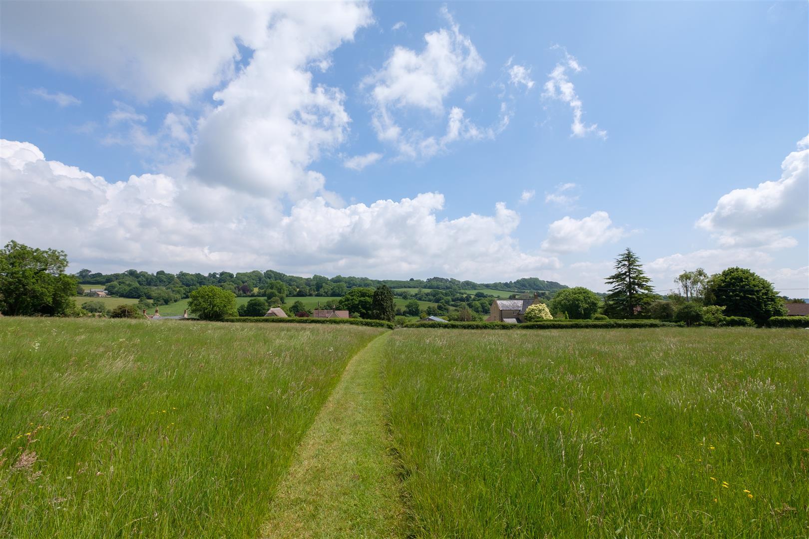 Image 23