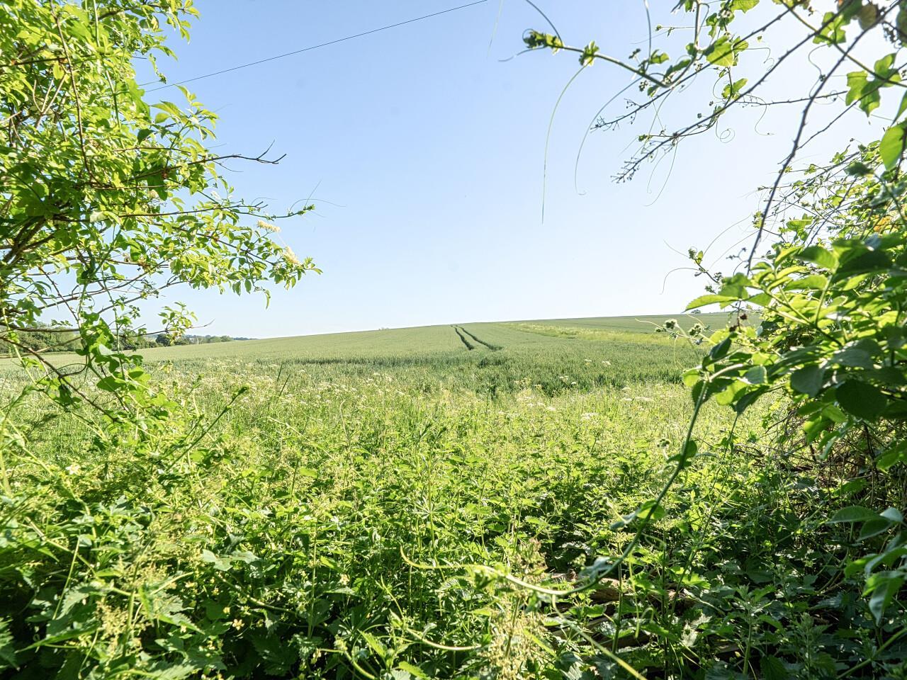 Property Image e04b3b16-9aaa-4bb2-9475-058590fbd914