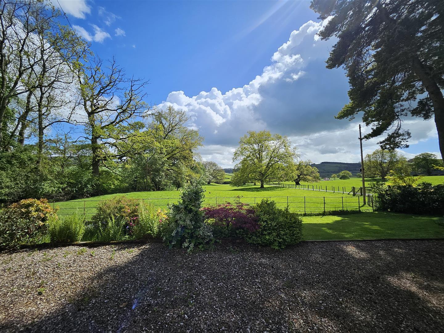 Property Image e099fb0d-7484-4923-a62c-9a1f182717ed