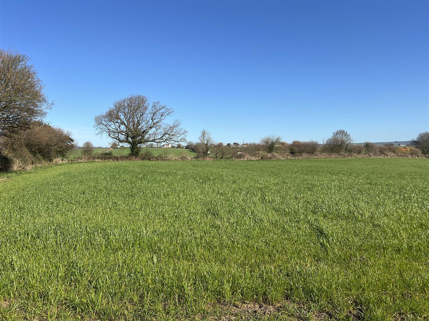 Property Image e0a3451a-a6a4-4954-bdbd-6541646064fd