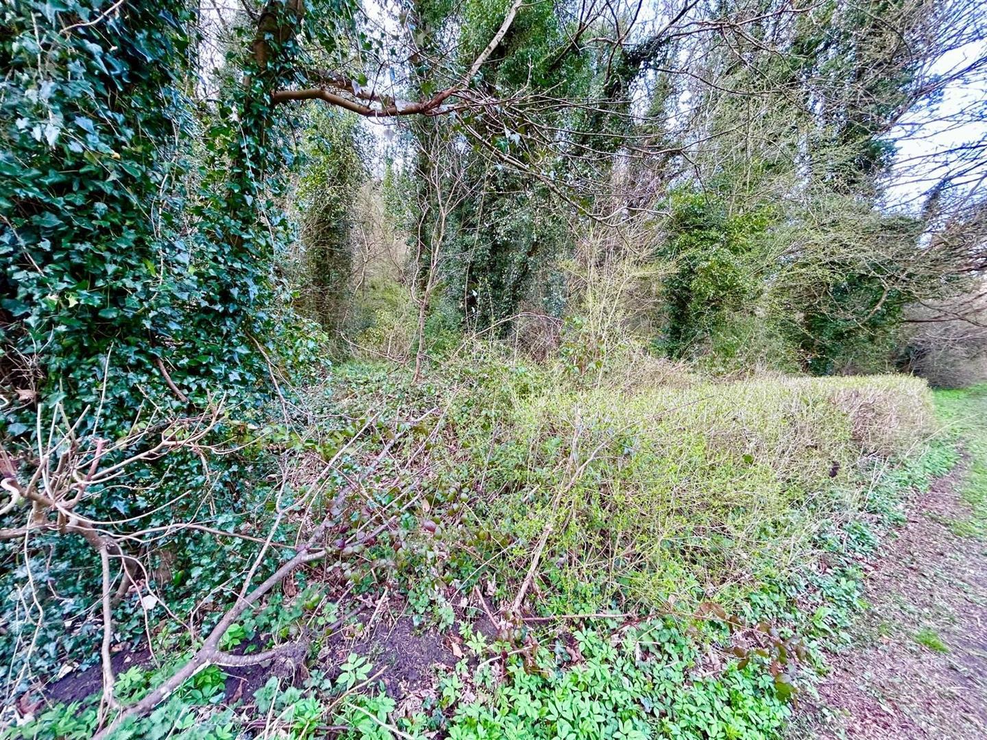 Property Image e0af730a-4d10-4585-9566-e5d493754365